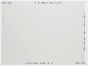 Ricoh 755296 RICOH eWhiteboard 4200 S3Nf