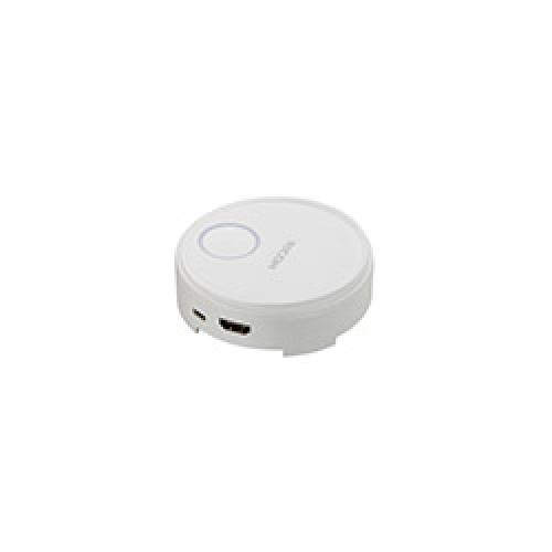 Ricoh 514300 RICOH Wireless Projection Option Button1