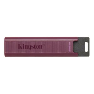 Kingston DTMAXA/256GB DataTraveler Max 256GB USB USB3.2 Gen2 Type-A通販