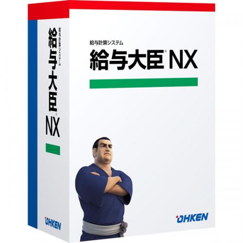  4988656508100 ͿNX LANPACK 15饤