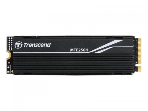 Transcend TS1TMTE250H 1TB M.2 2280 PCIe Gen4x4 S