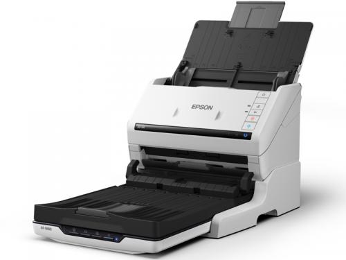 EPSON DS-531FB A4ʡ/ȥե+եåȥ٥å/ɥå󥰥ǥ/DS-531+GT-S660/A435/ʬ