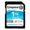 Kingston SDG3/1TB 1TB SDXCカード Canva...(2)