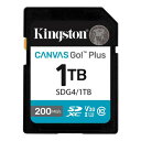 Kingston SDG4/1TB 1TB SDXCカード Canva...(2)