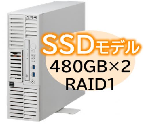 NEC NP8100-3024YPFY Express5800/D/T110m-S(RAID1対応コントローラ搭載) Xeon 6315P 4C/16GB/SSD 480GB*2 RAID1/W2022/タワー 3年保証