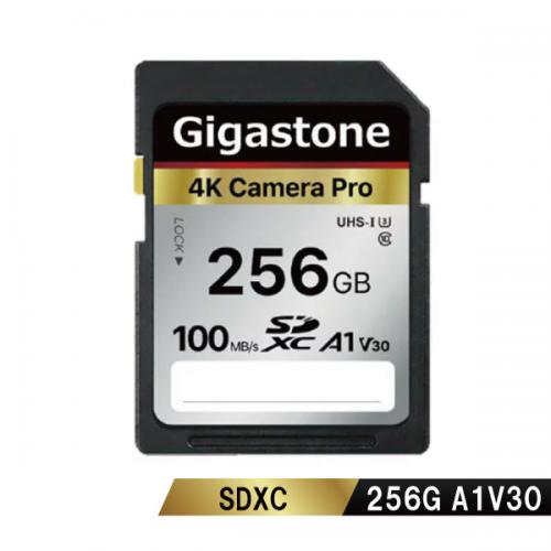 Sd Memory Cards - Gigastone GJSX-256GV3A1 SDXCカード 256GB Class10 UHS-I U1 A1 V30スペック 最大読み取り速度100MB/s 4K & Full HDカメラ パソコン 写真 動画データ保存