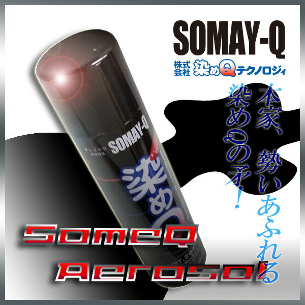 染めQブラック264ml人気のナノテクカラースプレー(3,980円以上購入で送料無料!)