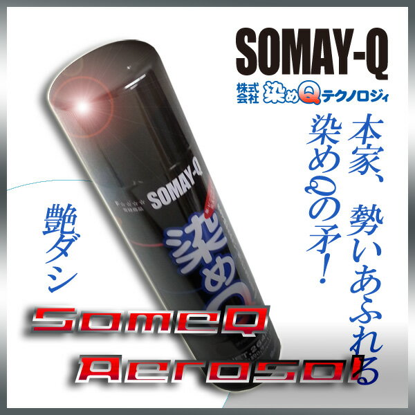 染めQ保護ツヤ出し264ml人気のナノテクカラースプレー(3,980円以上購入で送料無料!)