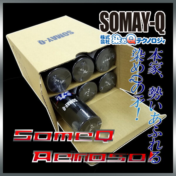 染めQブラック264ml人気のナノテクカラースプレー6pセット(送料無料)