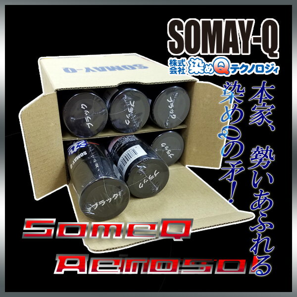 染めQブラック 70ml人気のナノテクカラースプレー6pセット(送料無料)