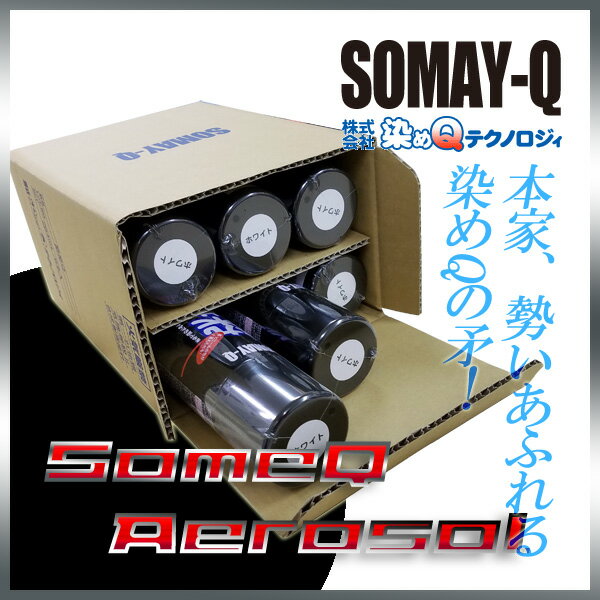 染めQホワイト264ml人気のナノテクカラースプレー6pセット(送料無料)