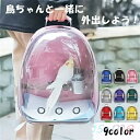 【楽天スーパーSALE】鳥用 リュック お出かけ 外出 通気 持ち運び便利 止まり木付き 組み立て簡単 ケージ バッグ インコ 鳥 かご 移動 ペット オウム ...