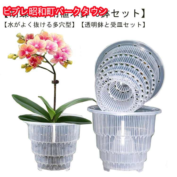 透明 胡蝶蘭専用 通気性抜群 胡蝶蘭専用 胡蝶蘭の植え替え 根腐れ防止 多穴型 鉢 受皿付き 直径12cm 直..