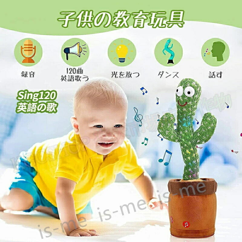 楽天市場】レッツゴー サボテンの通販