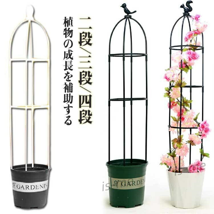 ڳŷѡSALEñ ٥ꥹ Ĥʪ ʰΩ ° ȥꥹ ⤵Ĵǽ  ֻ٤   Ͷ  ȥꥹ Х ...