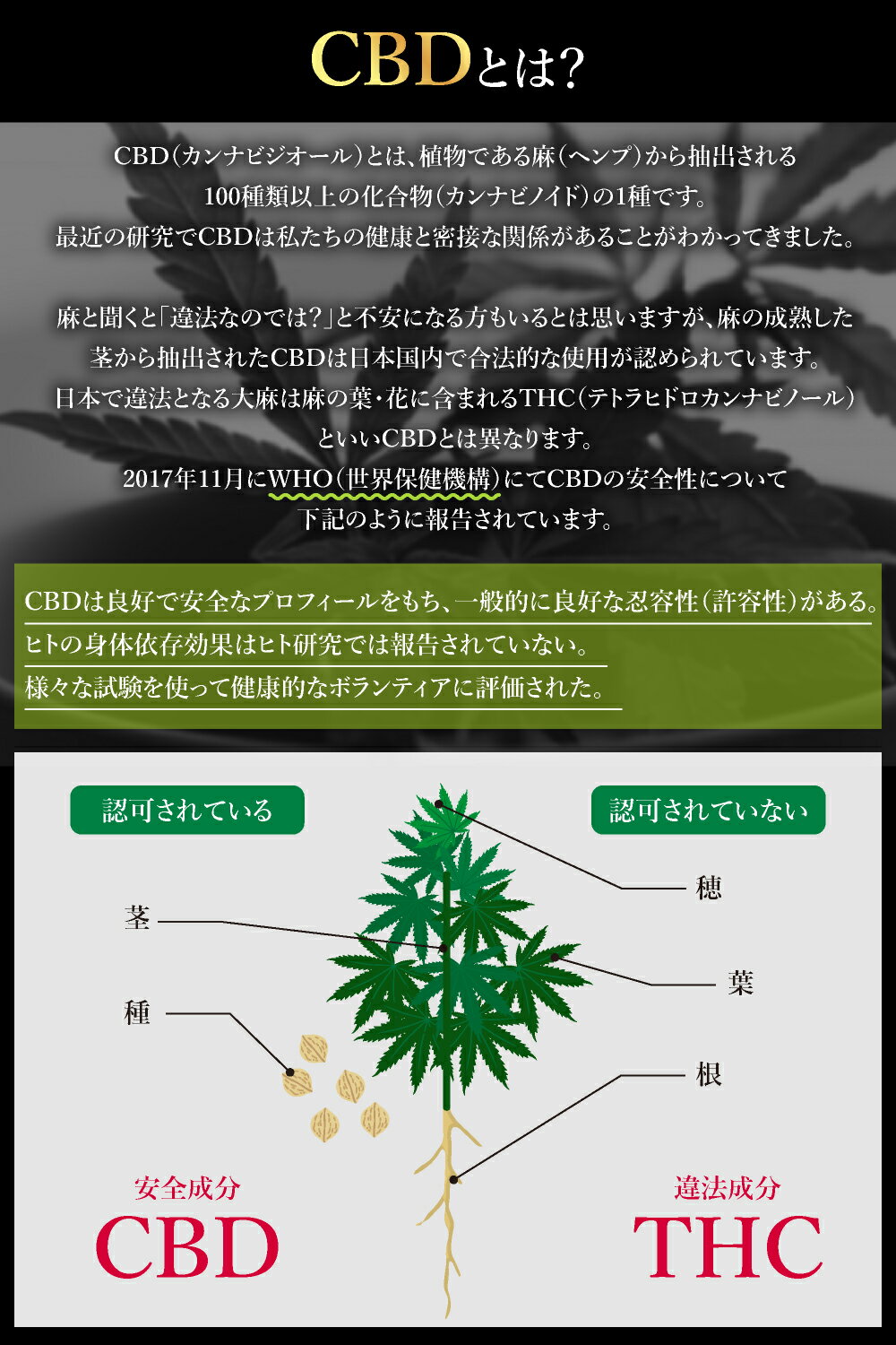 高濃度 高品質 CBDオイル CBDV CBG CBN 含有 CBD オイル OIL PREMIUM 日本製 10ml WELLMOTTO 【予約販売品】 ブロードスペクトラム 5.6% 送料無料 高濃度 高品質 CBDオイル CBDV CBG CBN 含有 CBD オイル OIL PREMIUM 日本製 10ml WELLMOTTO 【予約販売品】 ブロードスペクトラム 5.6% 送料無料