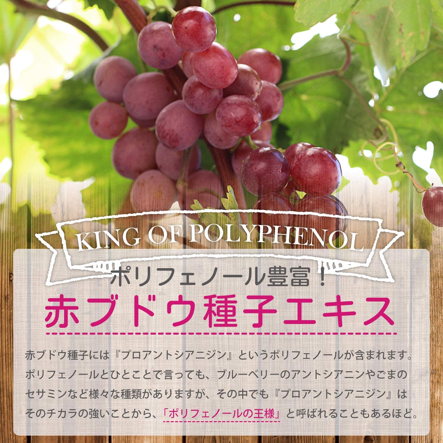 ポリフェノール