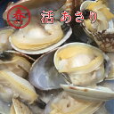 活あさり 1kg あさり 兵庫県産養殖あさり アサリ 国産貝 砂抜き 生あさり 室津あさり 瀬戸内あさり お取り寄せグルメ ギフト魚