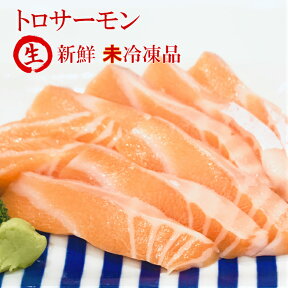 トロサーモン 刺身用サーモン 生 500g お歳暮 ギフト サーモン 生 さけ 鮭 鮮魚 新鮮 寿司 刺身 おせち さしみ 魚 ギフト お取り寄せグルメ ギフト サーモン アトランティックサーモン キングサーモン カルパッチョ　お取り寄せグルメ ギフト お中元