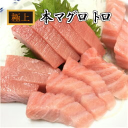 鮪 まぐろ生 本まぐろ 大トロ・中トロ・赤身 セット500g とろ 本まぐろ お中元 お歳暮 ギフト 本鮪 トロ 刺身 赤身 ブロック 冊 養殖 国産 まぐろとろ 生 寿司 マグロ丼 海鮮 お取り寄せグルメ 冬グルメ