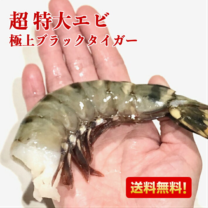 特大エビ えび 1.8kg 約30尾 送料無料 冷凍エビ 冷凍えび エビ 海老 特大 ブラックタイガー ギフト 大きい海老 エビフライ 海老フライ えびフライ 業務用 海老天ぷら ギフト 保存食 惣菜 バーベキュー インドネシア 海老チリ