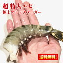 海老冷凍 特大エビ えび 1.8kg 約30尾 送料無料 お歳暮 冷凍エビ 冷凍えび エビ 海老 特大 ブラックタイガー 冷凍食品 殻付きエビ ギフト 大きい海老 エビフライ 海老フライ えびフライ 業務用 海老天ぷら ギフト エビフライ用 バーベキュー インドネシア 海老チリ