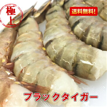 ブラックタイガー 大 冷凍エビ 1.8kg/約70匹 無頭エビ エビフライ 海老 エビ えび ギフト 【送料無料】