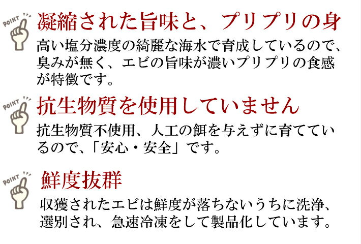 冷凍エビ 特大エビ 900g約27尾 ブラックタイガー お歳暮 送料無料 えび ギフト 冷凍えび エビ 特大 海老 エビフライ 車エビ科 保存食 海老 海老フライ 冷凍食品 業務用エビ 贈答品 魚 海産物 お取り寄せグルメ