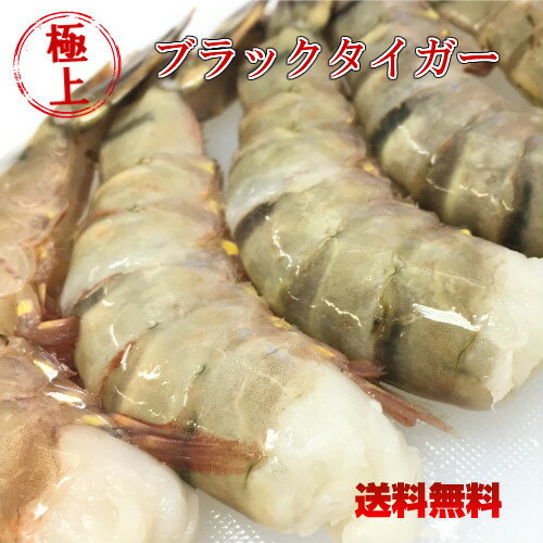 海老冷凍 冷凍エビ ブラックタイガー 16-20 大 1.8kg/約70匹 送料無料 お中元 えび お歳暮 殻付きエビ 冷凍エビ 無頭エビ エビフライ 海老 エビ 海老フライ 特大 お中元 ギフト 業務用 魚 お取…