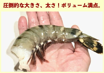 超 特大エビ 1.8kg 約30尾 送料無料 えび 冷凍エビ エビ 海老 特大 ブラックタイガー 大きい海老 エビフライ 海老フライ えびフライ 業務用 海老天ぷら ギフト 保存食 惣菜 バーベキュー インドネシア ギフト お取り寄せグルメ 海老チリ