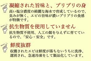 超特大エビ1.8kg約30尾送料無料えび冷凍エビエビ海老特大ブラックタイガー大きい海老エビフライ海老フライえびフライ業務用海老天ぷらギフト惣菜バーベキューインドネシアギフトお取り寄せグルメ海老チリお中元お歳暮冬グルメおせち