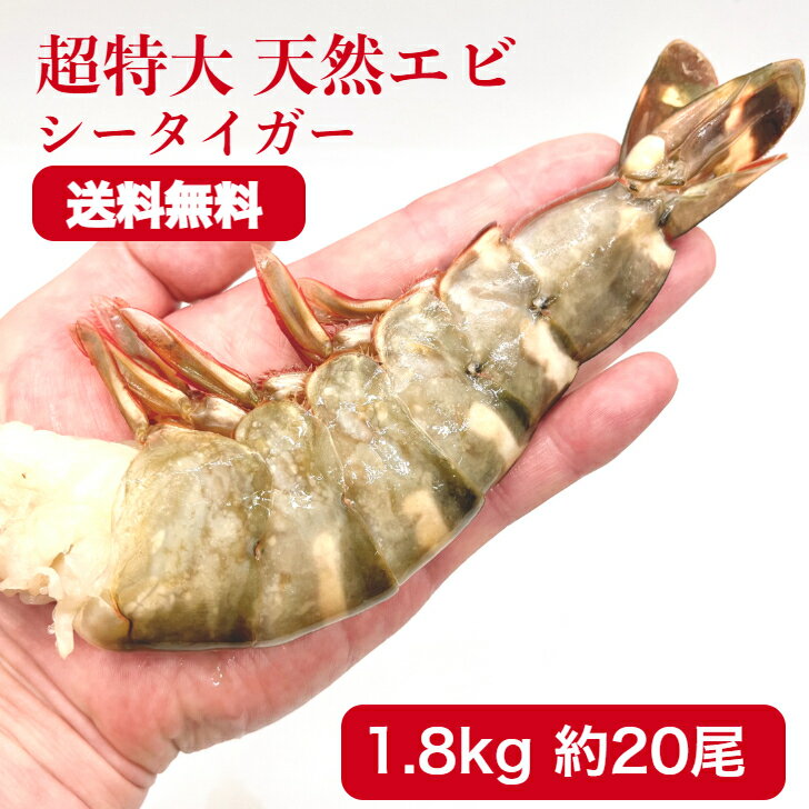 冷凍エビ 超 特大エビ 1.8kg 約20尾 天然エビ 送料無料 シータイガー 4-6 エビ 殻付きエビ お中元 ギフト バーベキュー えび 海老 特大 ブラックタイガー 天然 大きい海老 エビフライ 規格 海老フライ えびフライ 業務用 海老天ぷら エビフライ 海老チリ 車エビ科