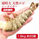 ブラックタイガー 冷凍エビ 超 特大エビ 1.8kg 約20尾 天然エビ 送料無料 シータイガー 2-4 エビ 殻付きエビ お中元 ギフト バーベキュー えび 海老 特大 ブラックタイガー 天然 大きい海老 エビフライ 規格 海老フライ えびフライ 業務用 海老天ぷら エビフライ 海老チリ 車エビ科