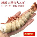 エビ 冷凍エビ 超超 特大エビ シータイガー 特大 1.8kg 約15尾 特大 送料無料 お歳暮 海老 ブラックタイガーの種 大きい海老 殻付きエビ エビフライ 海老フライ えびフライ 業務用 海老天ぷら ギフト エビフライ用 規格 バーベキュー 海老チリ 車エビ科 えび天ぷら