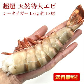 エビ 冷凍エビ 超超 特大エビ シータイガー 特大 1.8kg 約15尾 特大 送料無料 お歳暮 海老 ブラックタイガー 天然 大きい海老 殻付きエビ エビフライ 海老フライ えびフライ 業務用 海老天ぷら ギフト エビフライ用 規格 バーベキュー 海老チリ 車エビ科 えび天ぷら