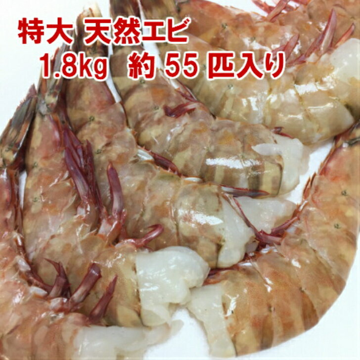 海老冷凍 特大 天然エビ 1.8kg/約55尾 フラワーエビ 冷凍エビ お歳暮 海老フライ 殻付きエビ 海老 特大 送料無料 無頭エビ 冷凍食品 バーベキュー エビフライ 冷凍エビ ギフト ブラックタイガ…