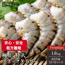 \ポイント5倍/冷凍エビ 特大エビ 1.8kg 約55尾 ブラックタイガー 送料無料 お中元 ギフト えび 冷凍えび 殻付きエビ ブラックタイガー 13-15 ギフト エビ 特大 海老 エビフライ 海老 海老フライ エビフライ用 業務用エビ エビチリ