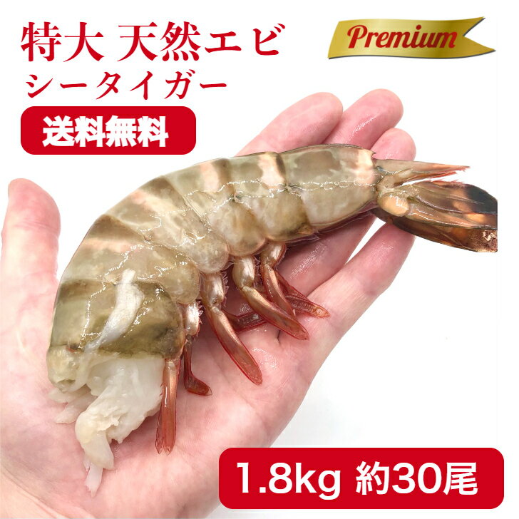 冷凍エビ 超 特大エビ 1.8kg 約30尾 天然エビ シータイガー えび 送料無料 お歳暮 天然 海老 特大 ブラックタイガーの種 大きい海老 エビフライ 海老フライ えびフライ 業務用 海老天ぷら ギフト バーベキュー ギフト 海老チリ 車エビ科