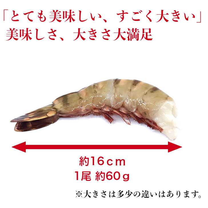 冷凍エビ 超 特大エビ 1.8kg 約30尾 天然エビ シータイガー えび 送料無料 お歳暮 天然 海老 特大 ブラックタイガーの種 大きい海老 エビフライ 海老フライ えびフライ 業務用 海老天ぷら ギフト バーベキュー ギフト 海老チリ 車エビ科