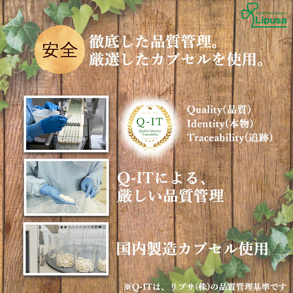 【いちばの日!10%OFF】高麗紅参(高麗人参)約3か月分times;2袋C-175-2送料無料ISAリプサLipusaサプリサプリメントサポニン