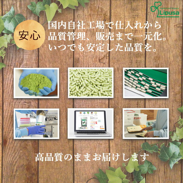【10%ポイントバック】高麗紅参(高麗人参)約3か月分times;2袋C-175-2送料無料ISAリプサLipusaサプリサプリメントサポニン