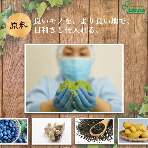 【クーポン配布中】高麗紅参(高麗人参)約3か月分times;2袋C-175-2送料無料ISAリプサLipusaサプリサプリメントサポニン