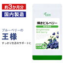 【50％ポイントバック★5/2 朝9:59迄】 輝きビルベリー 約3か月分 C-136 送料無料 ISA リプサ Lipusa サプリ サプリメント アントシアニン 光ダメージ サポート