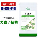  どくだみ 約3か月分 C-139 送料無料 ISA リプサ Lipusa サプリ サプリメント 国産 ドクダミ粉末 使用