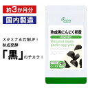 熟成黒にんにく卵黄 約3か月分 C-152 送料無料 ISA リプサ Lipusa サプリ サプリメント 活力 スタミナサポート