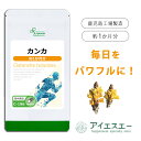  カンカ 約1か月分 C-196 送料無料 ISA リプサ Lipusa サプリ サプリメント 活力 健康維持