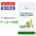 【最大50%OFFクーポン&ポイント最大10倍】 キャンドルブッシュ 約1か月分 C-207 (90カプセル) 送料無料 リプサ サプリメント ISA アイエスエー ダイエットサプリ ハネセンナ