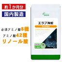  エラブ海蛇 約1か月分 C-261 送料無料 ISA リプサ Lipusa サプリ サプリメント イラブー 海ウナギ 活力 サポート 年齢的なお悩み