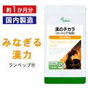 【最大8%OFFクーポン配布中】 漢のチカラ 約1か月分 T-642 (120粒) 送料無料 リプサ サプリメント ISA アイエスエー エゾウコギ ヒハツ