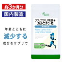 【最大390円クーポン配布中】 アルファリポ酸＋カルニチン粒 約3か月分 T-654 送料無料 ISA リプサ Lipusa サプリ サプリメント アミノ酸 ダイエット 美容